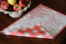 Load image into Gallery viewer, Pampa Placemats - Pack of 4
