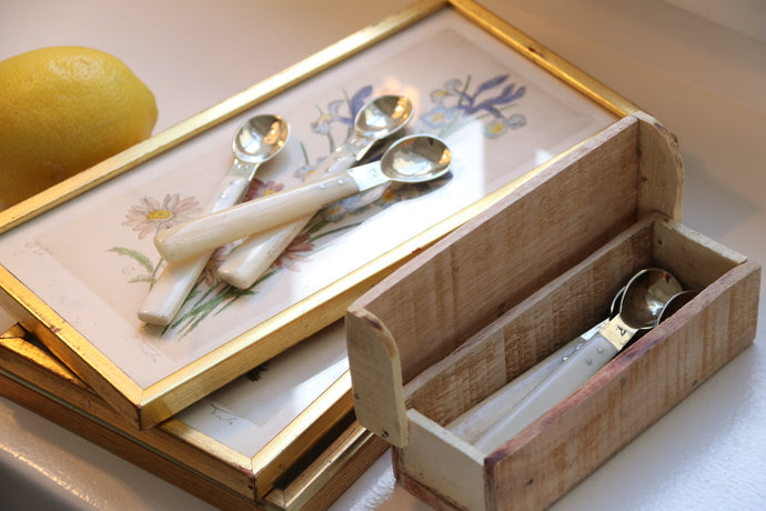 Alpaca spoons, wooden box, lemon, botanical wall art