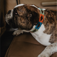 Load image into Gallery viewer, Pampa Dog Collar No.2
