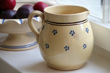 Load image into Gallery viewer, Stelle Pitcher
